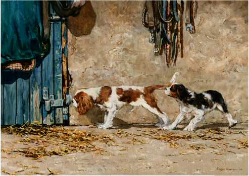"The Dog Whisperer" Cavalier King Charles Spaniel Puppies