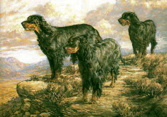 "Highlanders"  Gordon Setter Limited Edition Print by Roger Inman