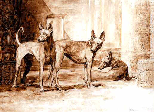 "Royal Favourites" Pharaoh Hound Limited Edition Print by British artist Roger Inman