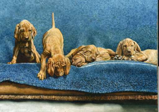 "Reveille" Vizsla Pups - Limited Edition Fine Art Vizsla Print by British Artist Roger Inman