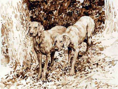 "On the Hunt" Weimaraner Limited Edition Print from the Original Sepia Watercolor by British artist Roger Inman