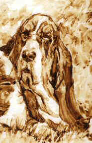 Closeup of Basset Hound head from "Days for Dreaming"