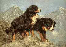 "Mountain Heirs" Bernese Mountain Dog Limited Edition Print by British artist Roger Inman