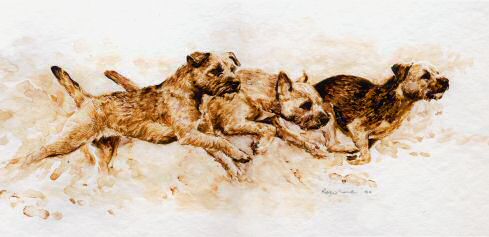 "Full Ahead" Border Terrier Limited Edition Print from the Original Sepia Wash by British artist Roger Inman