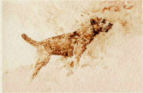 "Studied Poise" Border Terrier Limited Edition Print from the Original Sepia Wash by British artist Roger Inman