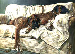 "Boxers in Repose" Natural Ear Boxer Fine Art Limited Edition Print by Roger Inman