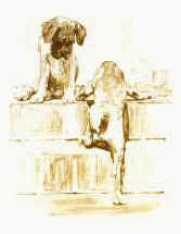 "Solo Attempt" Boxer Pups Limited Edition Print by British Artist Roger Inman