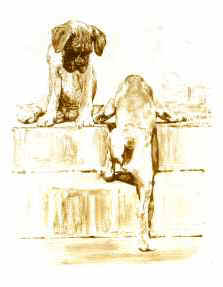 "Solo Attempt" Boxer Puppy Fine Art Limited Edition Print by Roger Inman