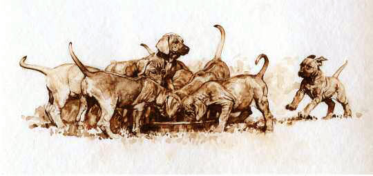 Rhodesian Ridgeback Puppies "The Latecomer" Sepia Limited Edition Print