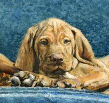 Closeup of "Reveille" Vizsla Pups - Limited Edition Fine Art Vizsla Print by British Artist Roger Inman